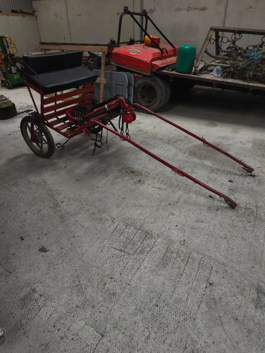 Horse Cart - Image 2