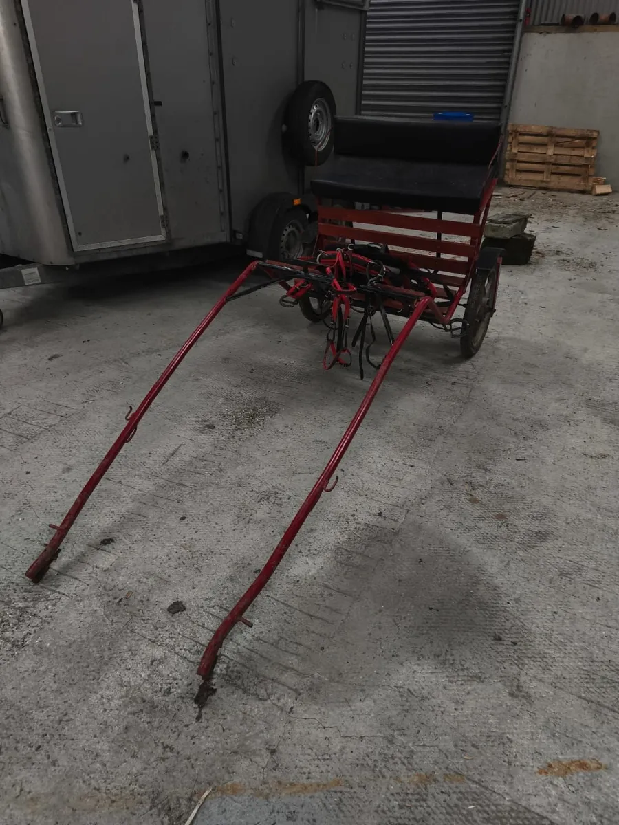 Horse Cart - Image 3