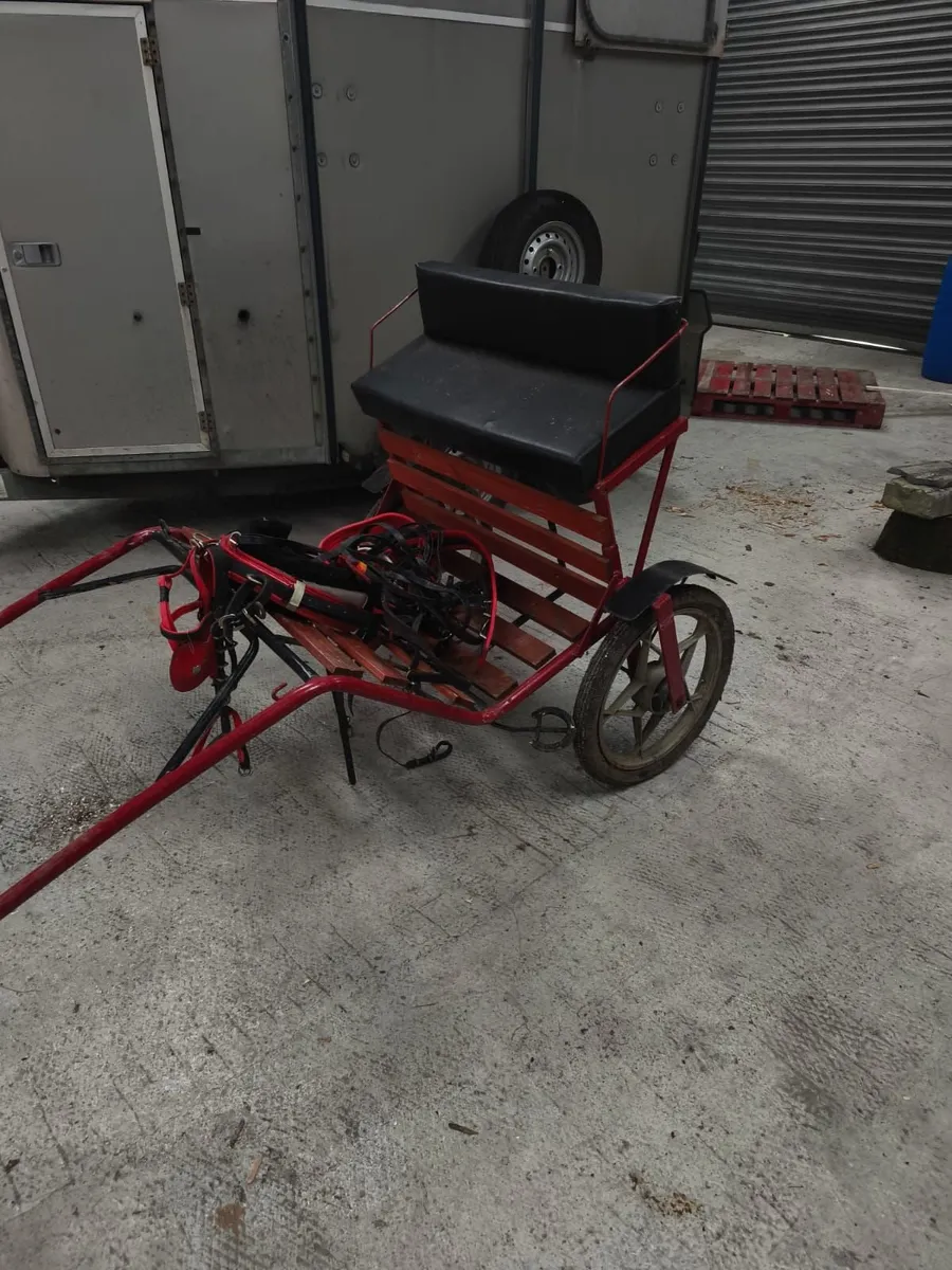 Horse Cart - Image 1