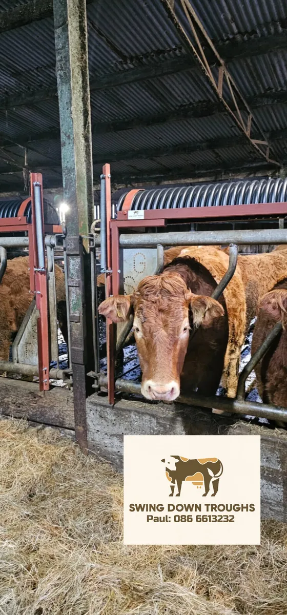 Swing Down Troughs Ltd, Painted with springs - Image 1