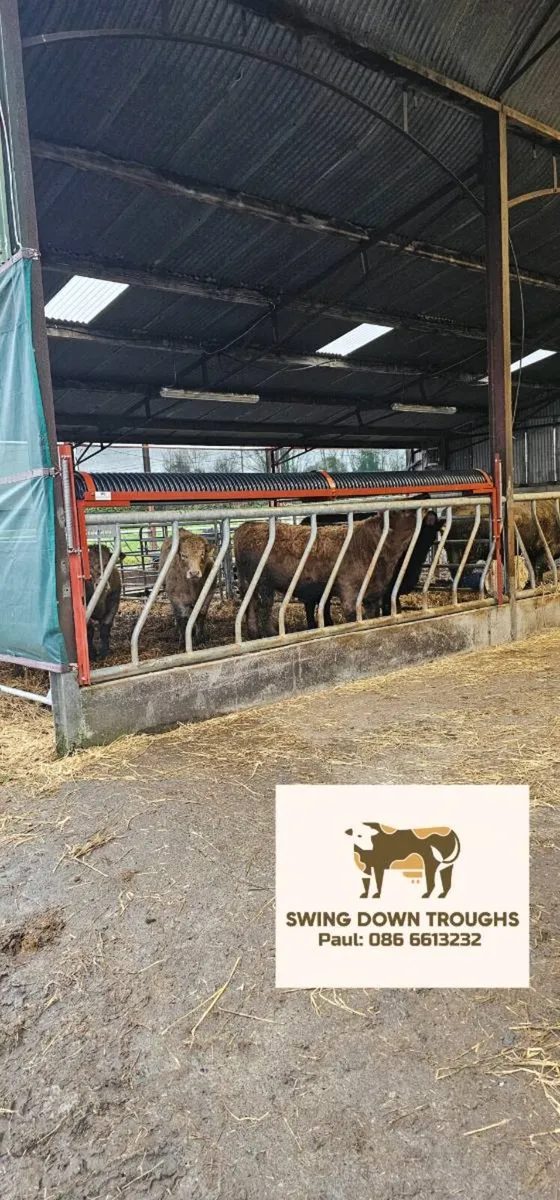 Swing Down Troughs Ltd, Painted with springs - Image 2