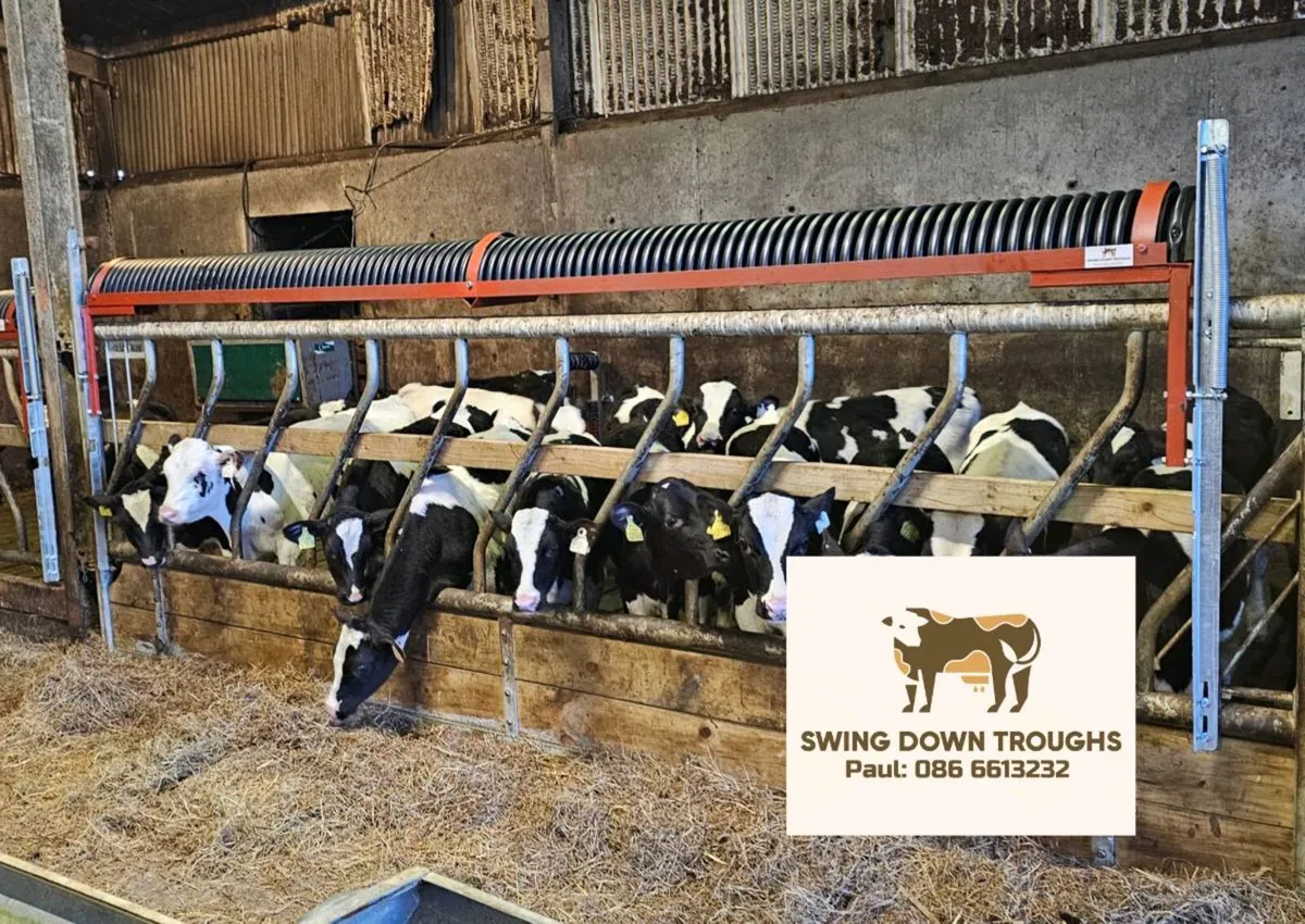 Swing Down Troughs Ltd, Painted with springs - Image 3