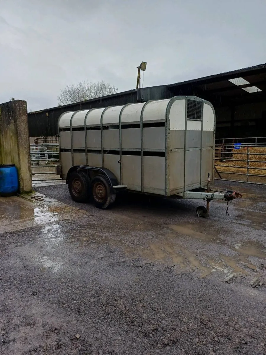 Nugent 12ft cattle trailer - Image 1