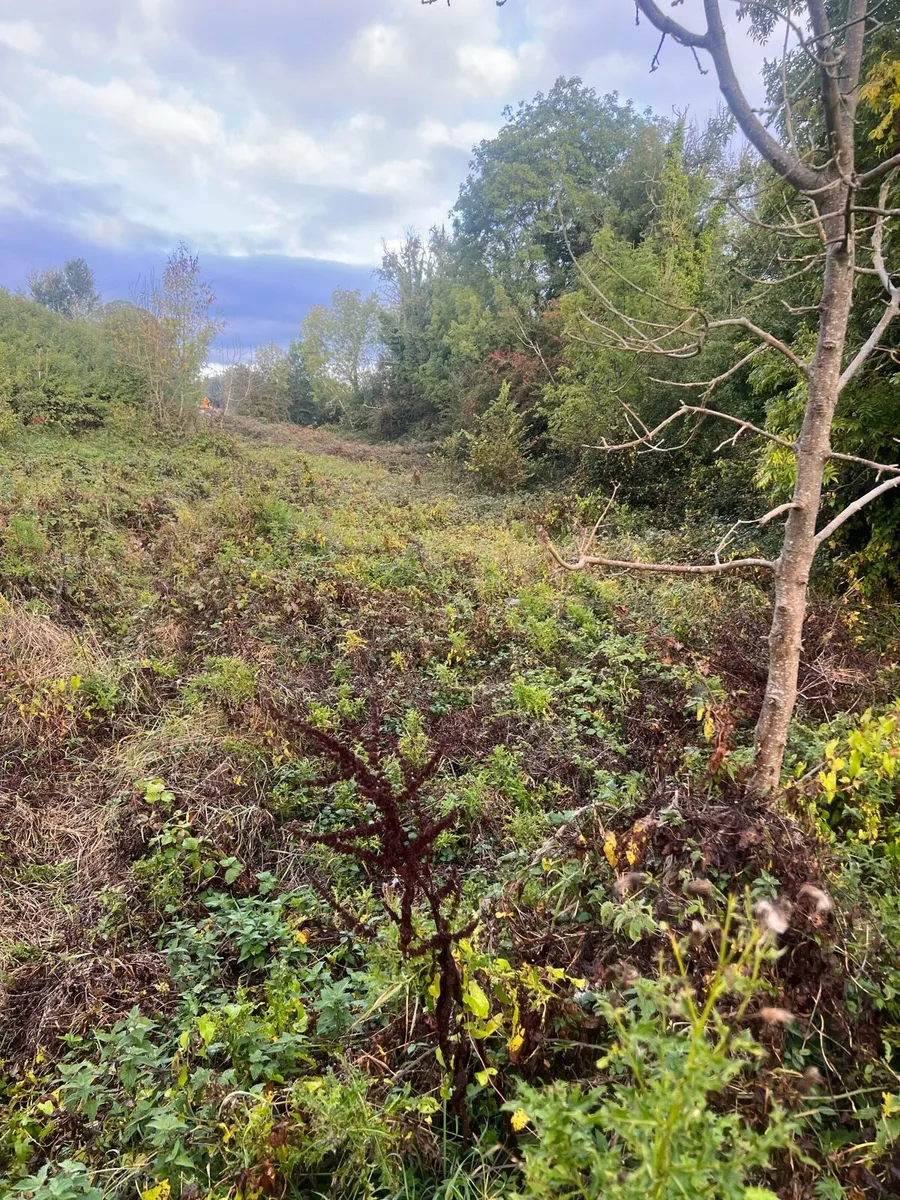 Plant hire services - Image 4