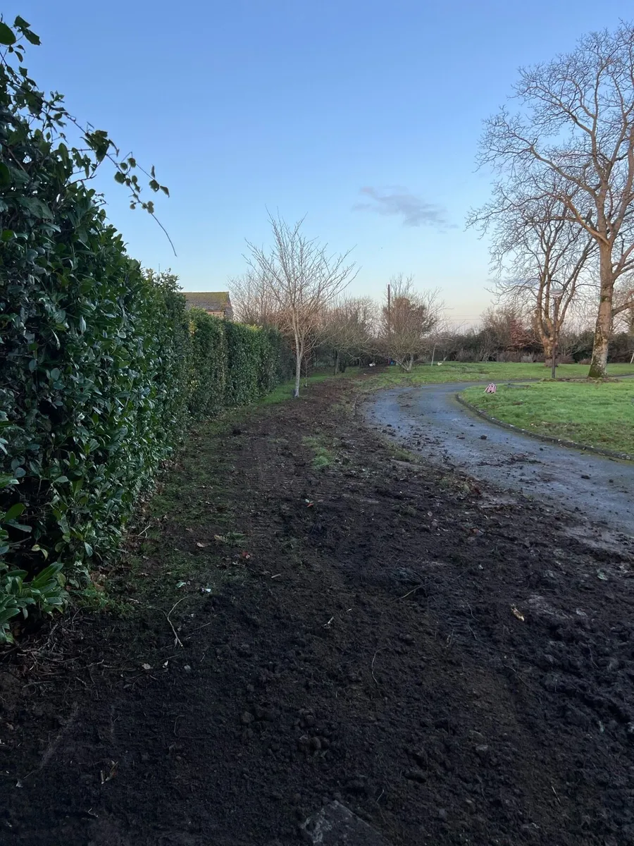 Plant hire services - Image 2