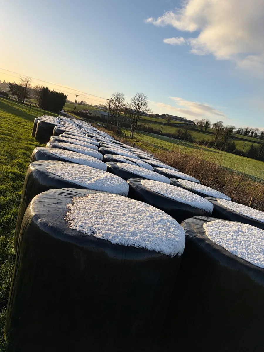 Bales For Sale - Image 1
