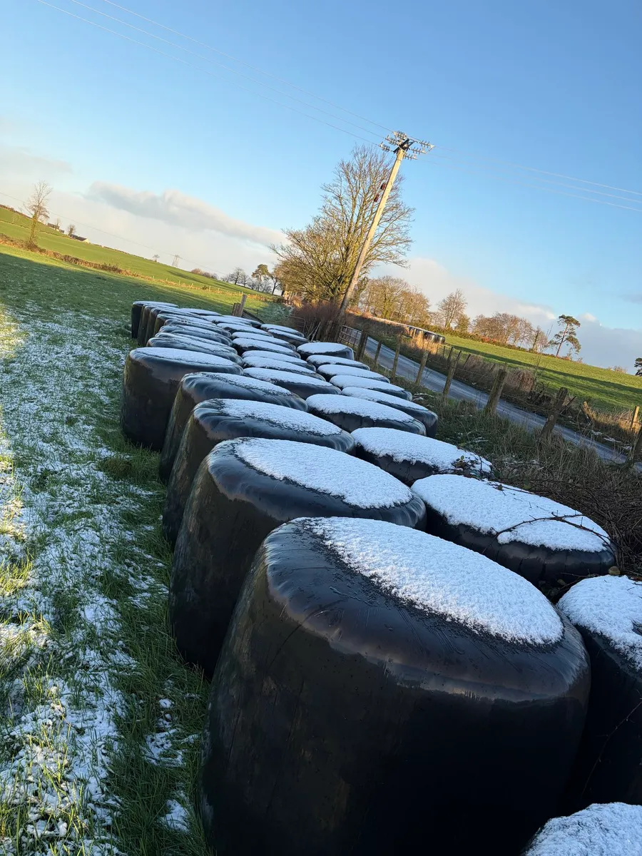 Bales For Sale - Image 2