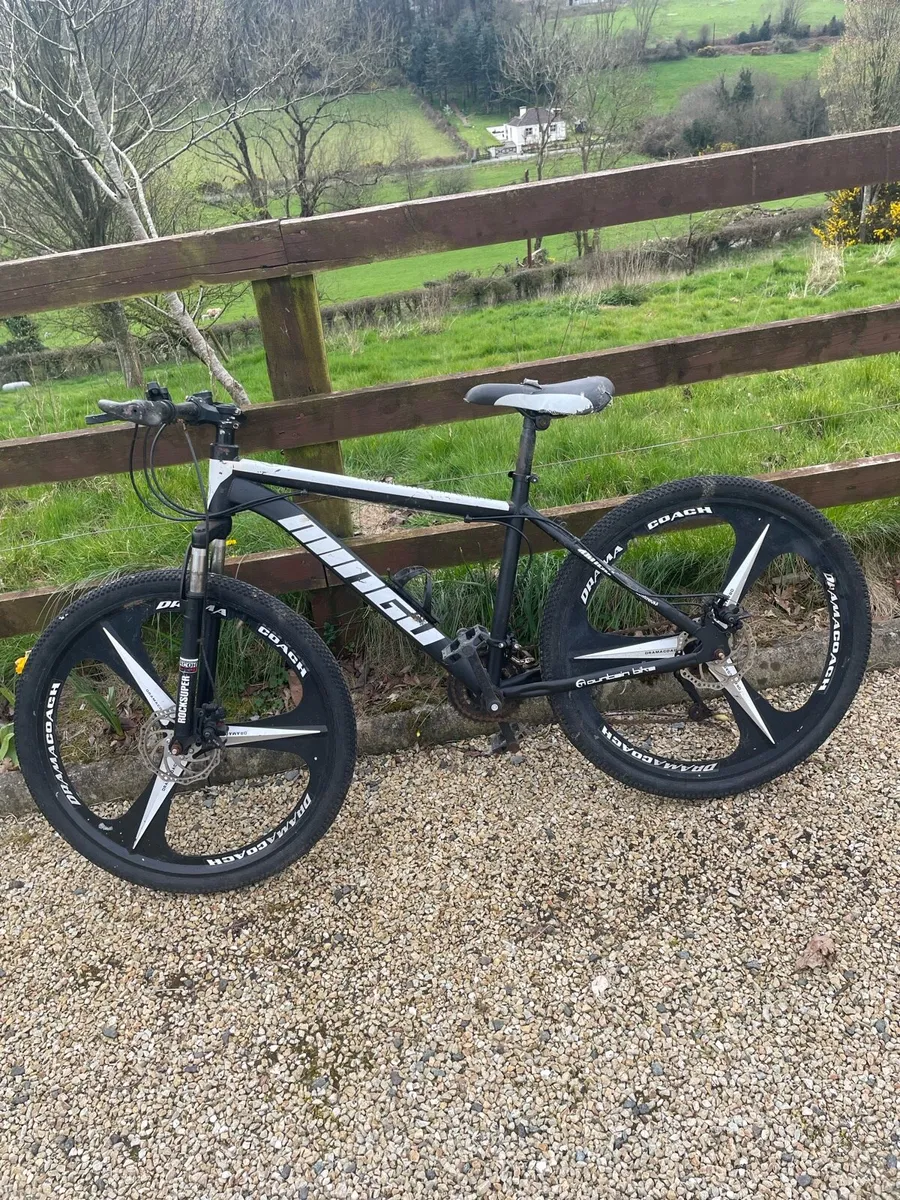 Mountain Bike - Image 1