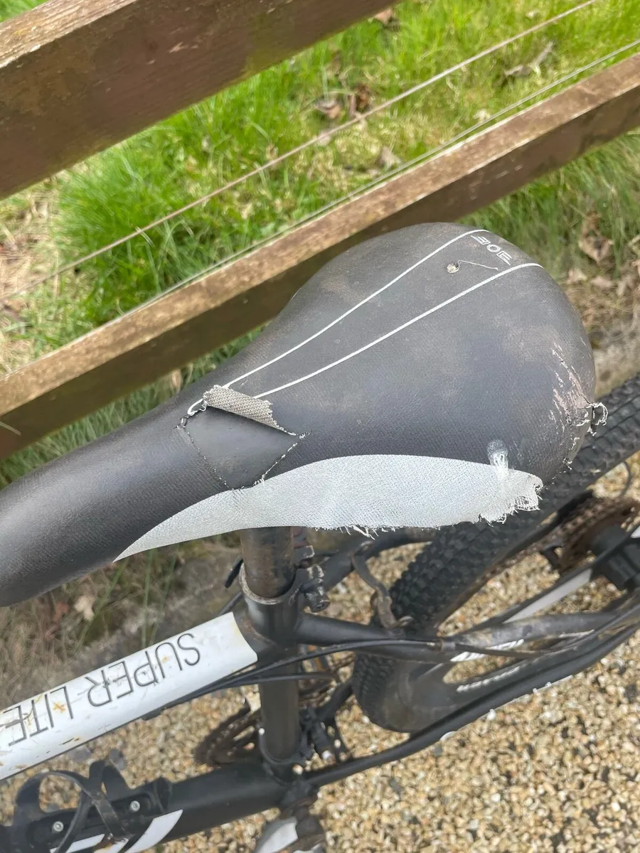 Mountain Bike - Image 2