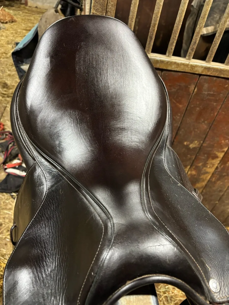 17.5 Devoucoux Biarritz - Image 2