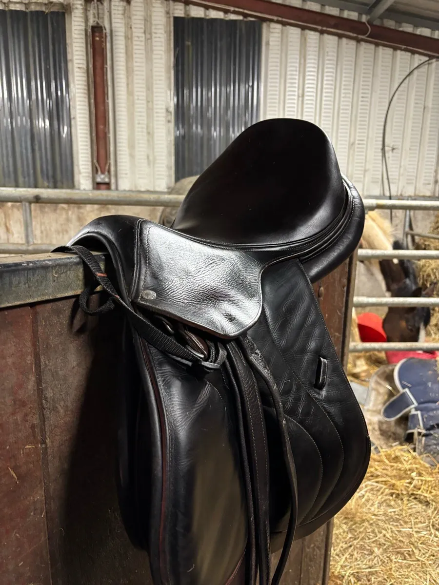 17.5 Devoucoux Biarritz - Image 3