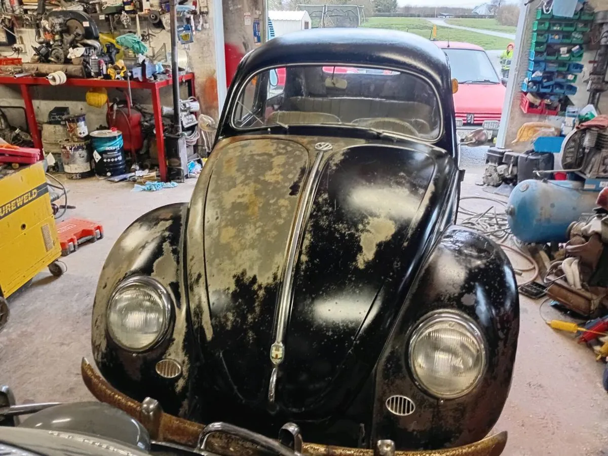 Vw beetle - Image 2