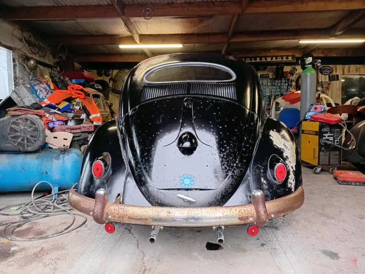 Vw beetle - Image 4