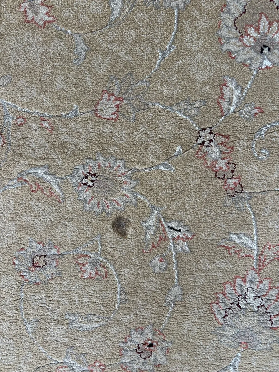 Rugs - Image 4