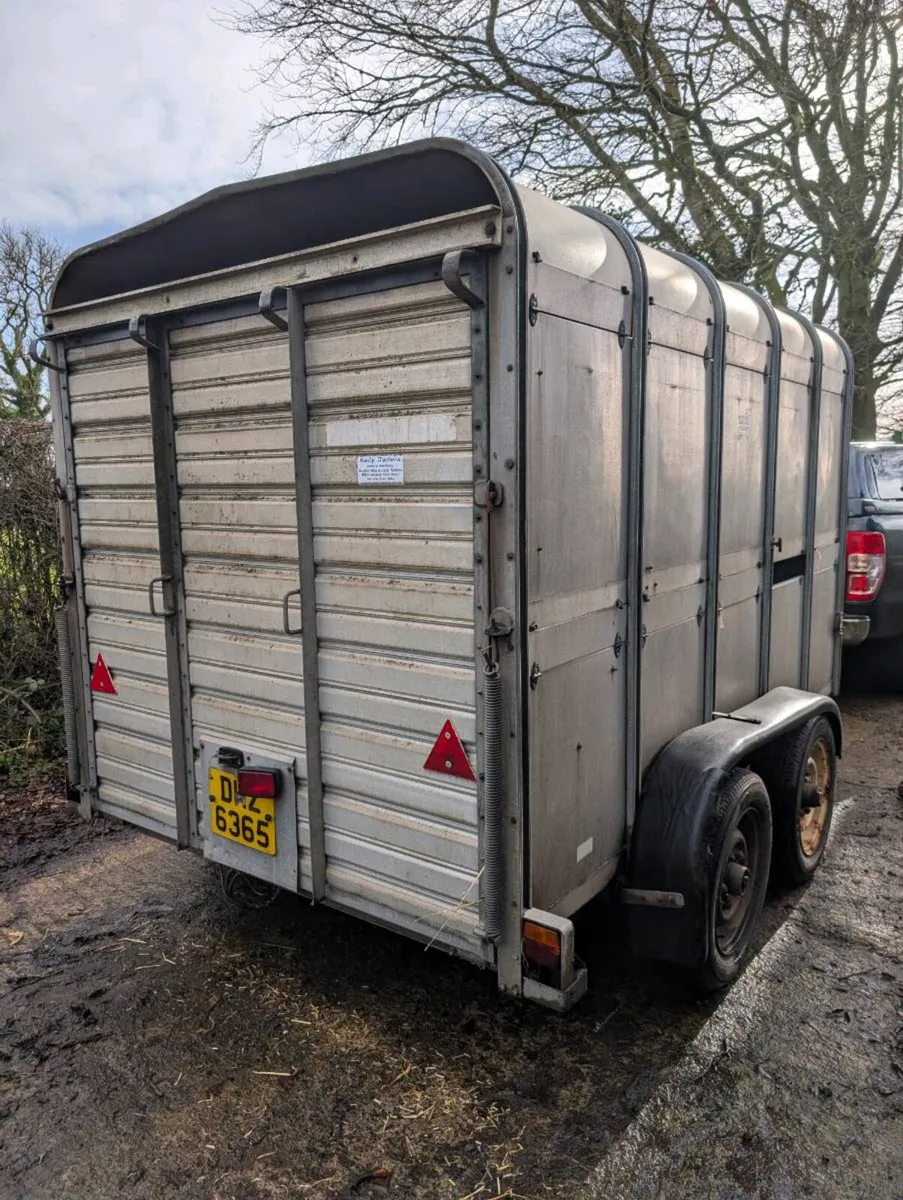 Cattle Trailer - Image 2