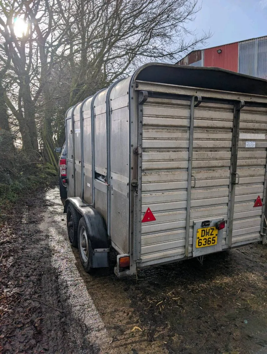 Cattle Trailer - Image 3