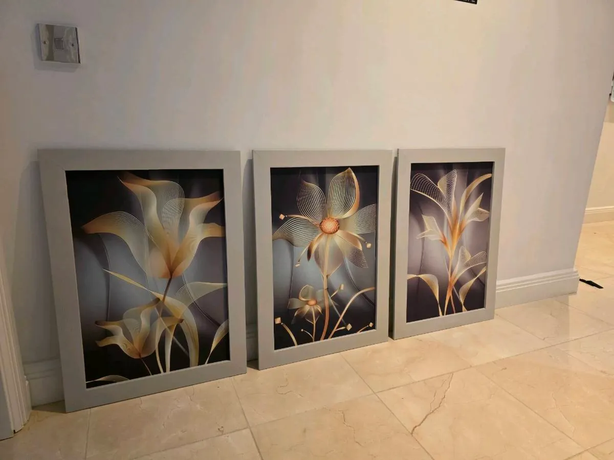 3 pictures with frame 53x72 cm each - Image 2
