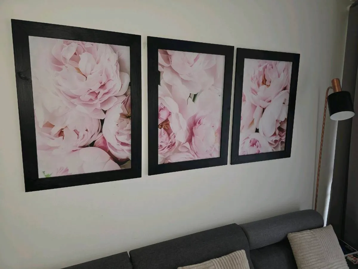 3 pictures with frame 53x72 cm each - Image 3