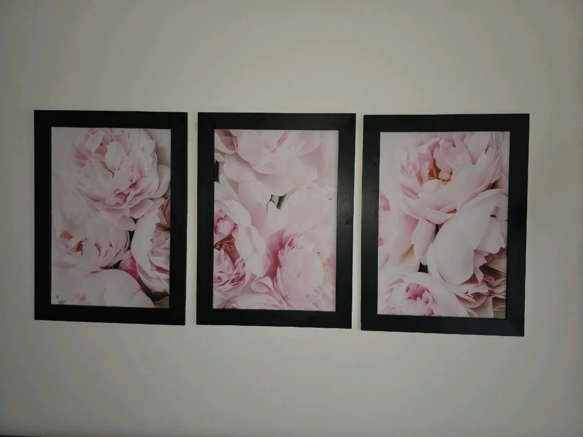 3 pictures with frame 53x72 cm each - Image 4