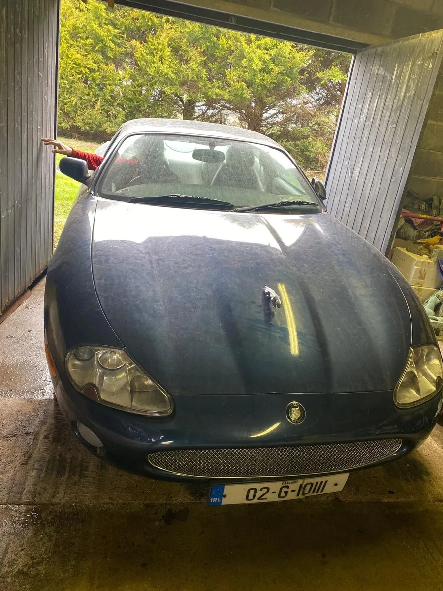 Jaguar XK8 R - Image 4