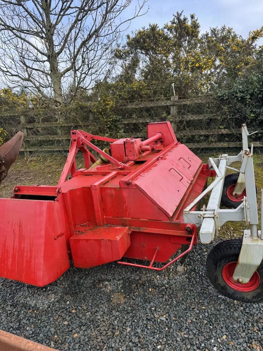 Potato Topper - Image 3