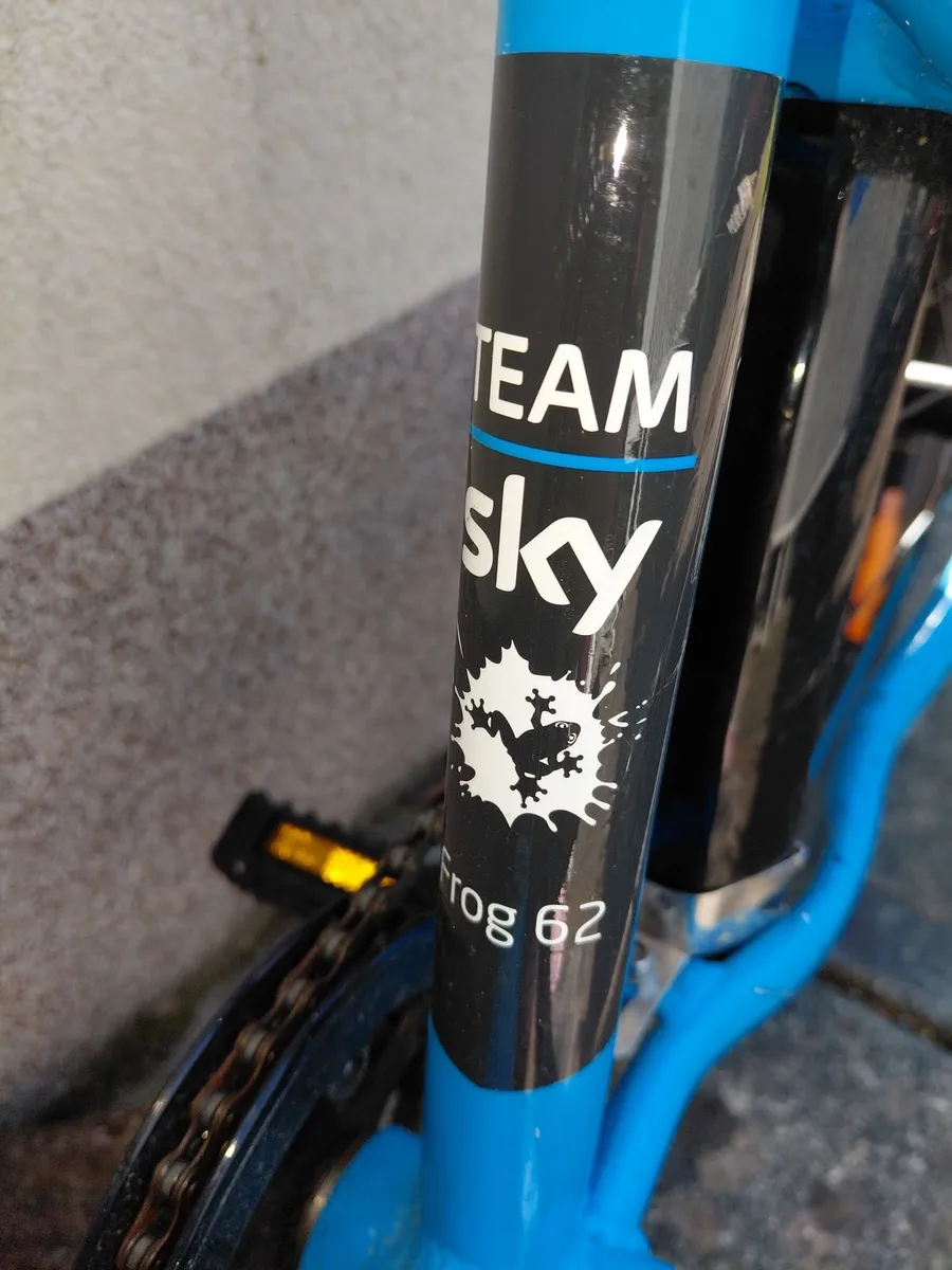 Frog Kids Bicycle - Image 2