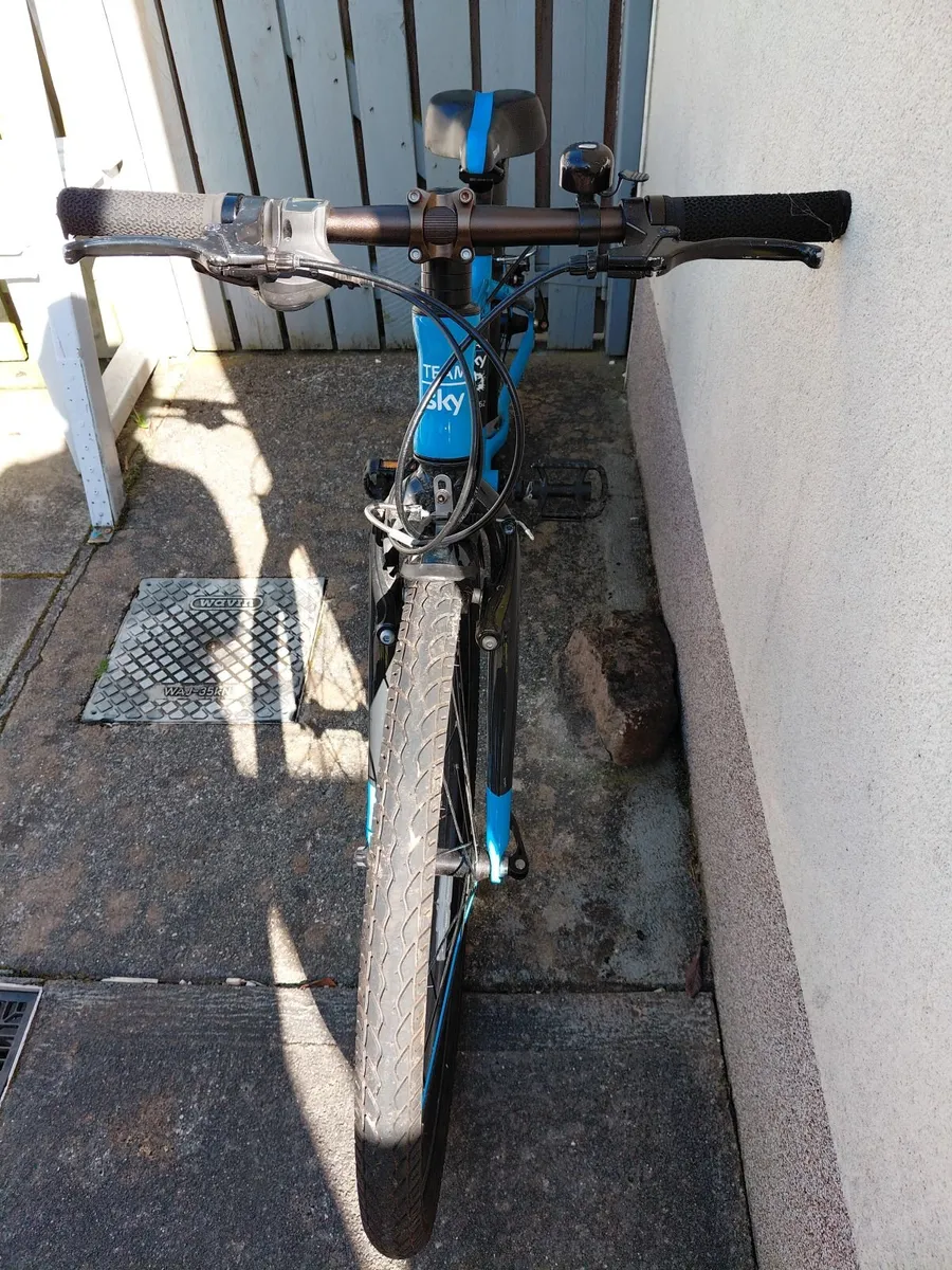 Frog Kids Bicycle - Image 3