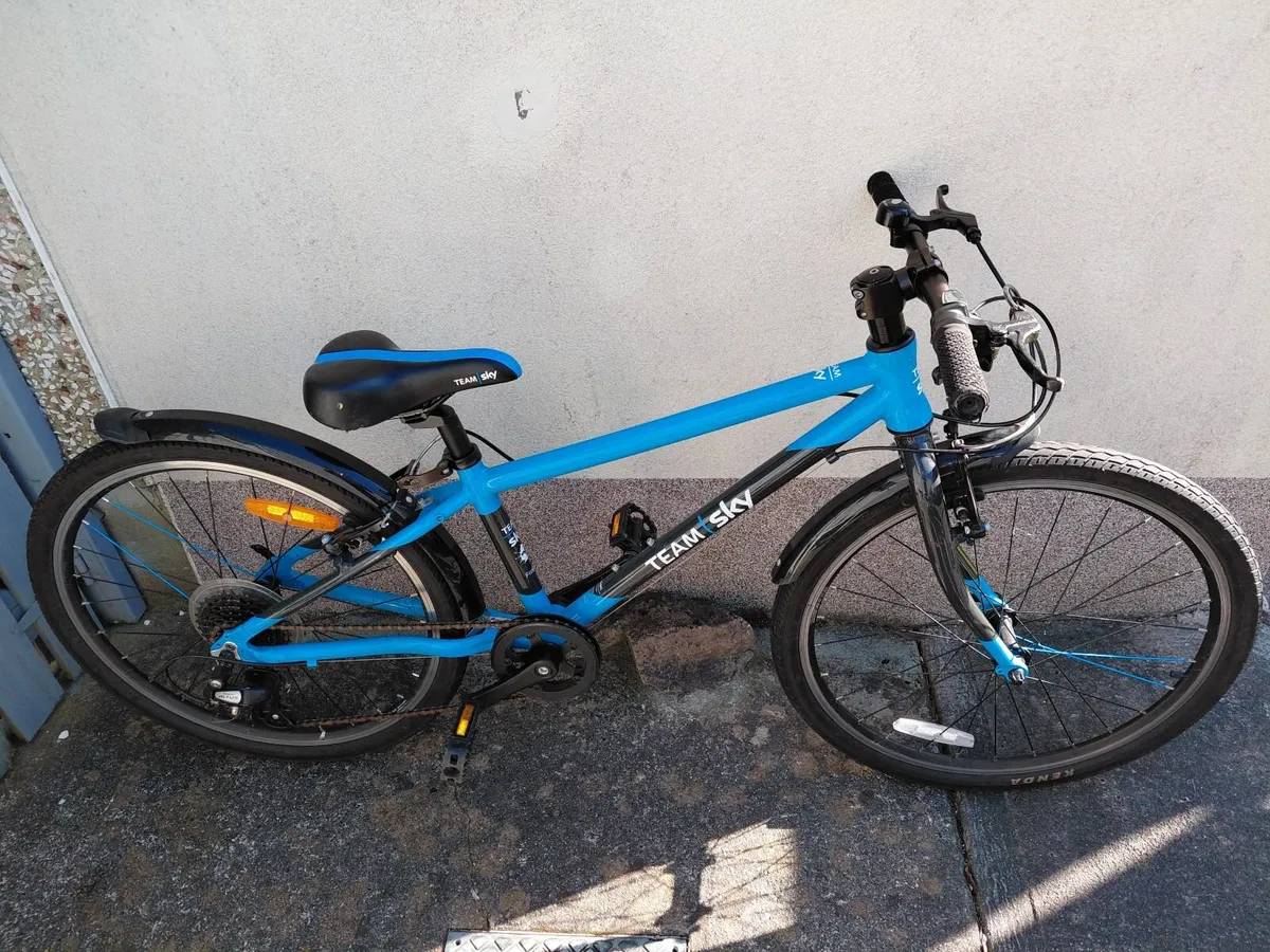 Frog Kids Bicycle - Image 1