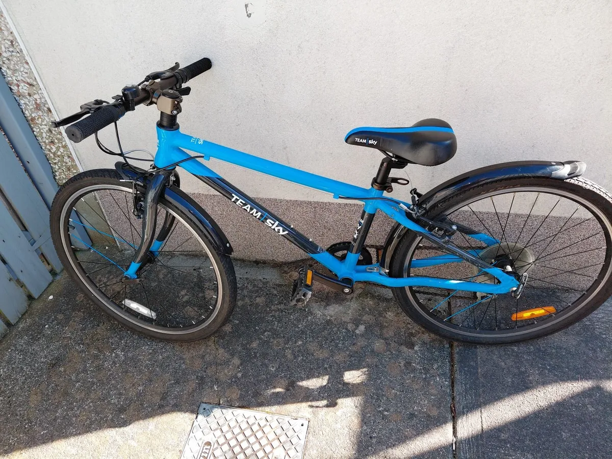 Frog Kids Bicycle - Image 4