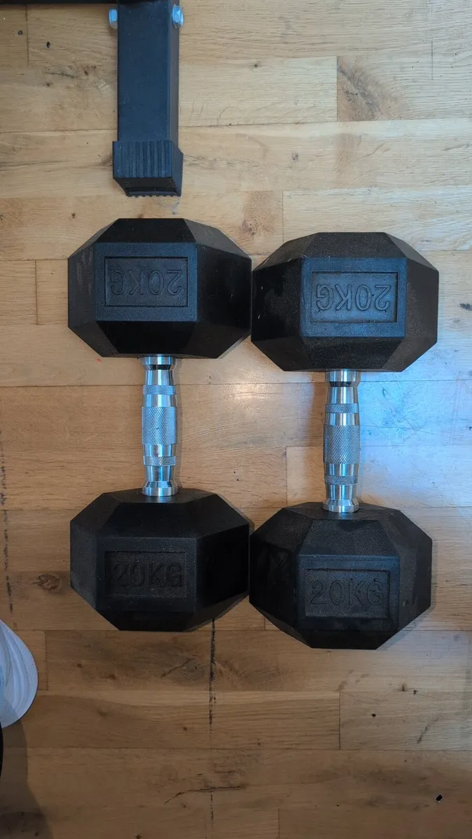 20kg Hex Dumbbells pair