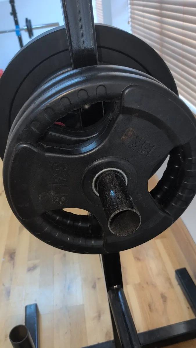 15kg weighted plates pair