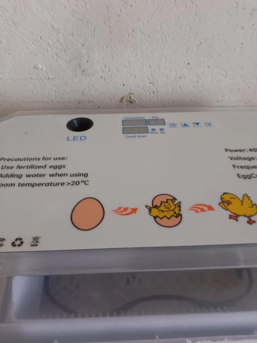 Chickens and incubator - Image 2