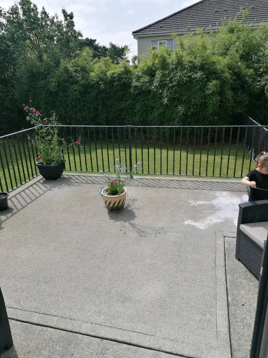 Garden railings - Image 4