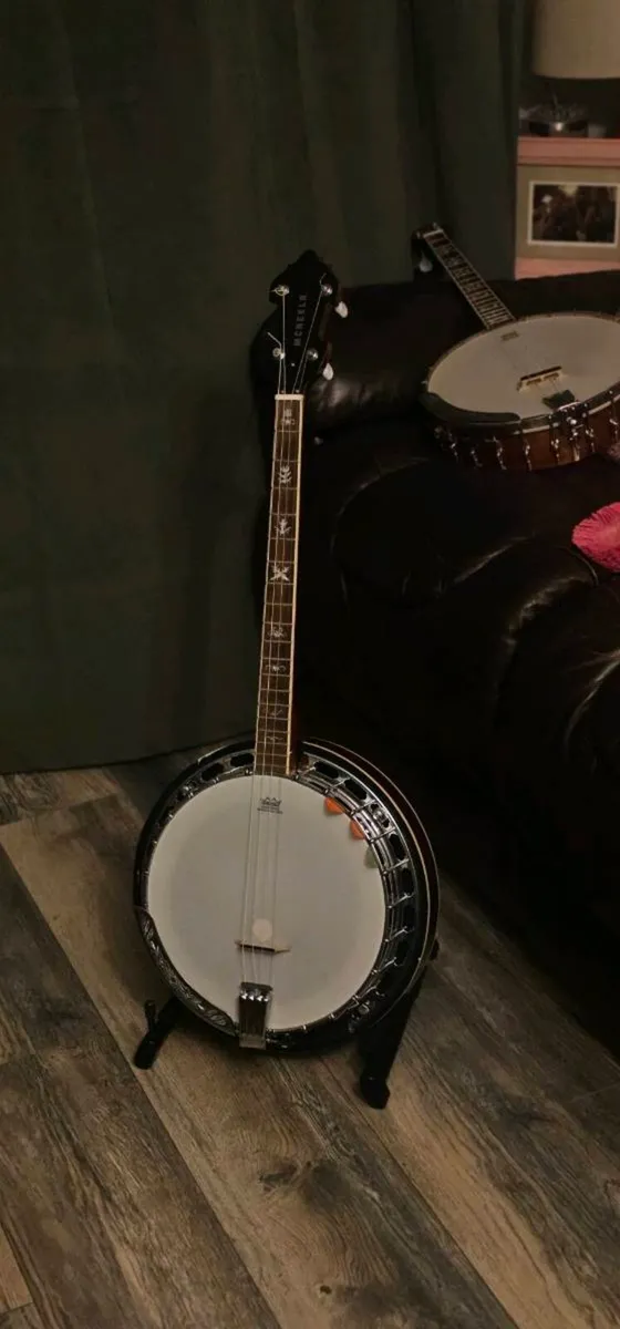 McNeela Viking Tenor banjo - Image 1