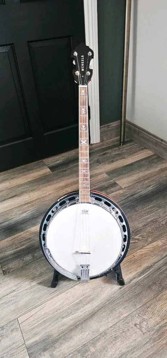 McNeela Viking Tenor banjo - Image 2