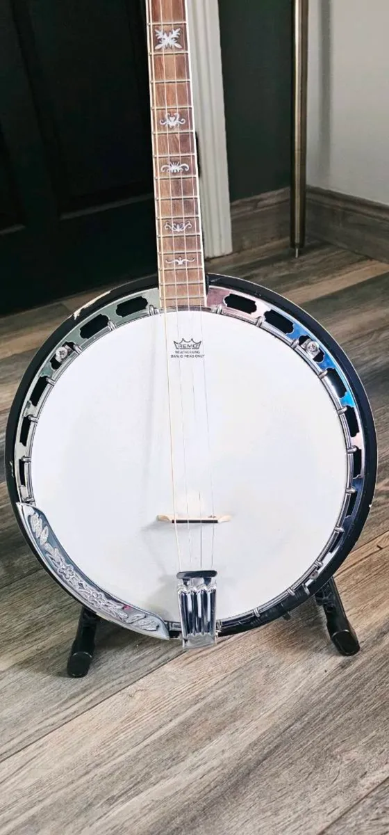 McNeela Viking Tenor banjo - Image 3