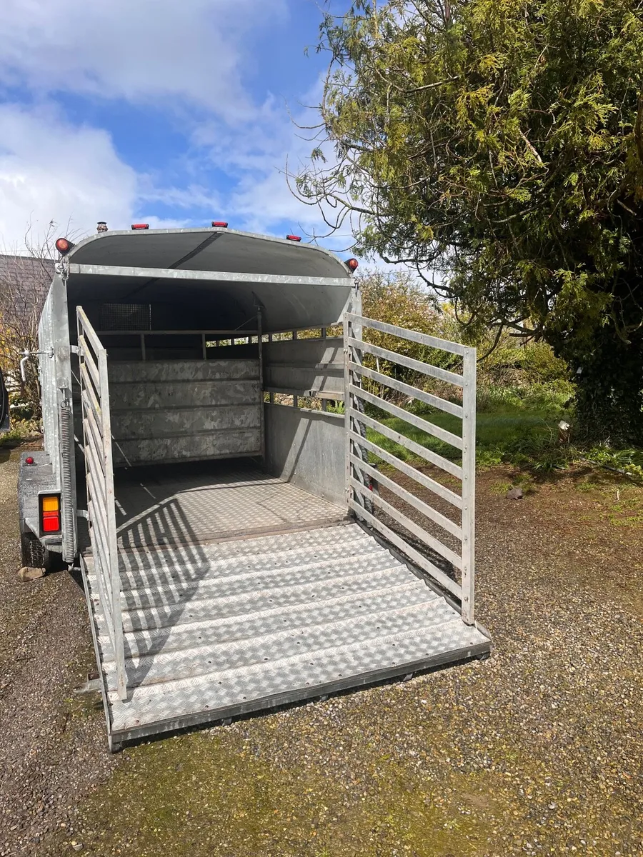 Nugent TriAxel Cattlebox - Image 4