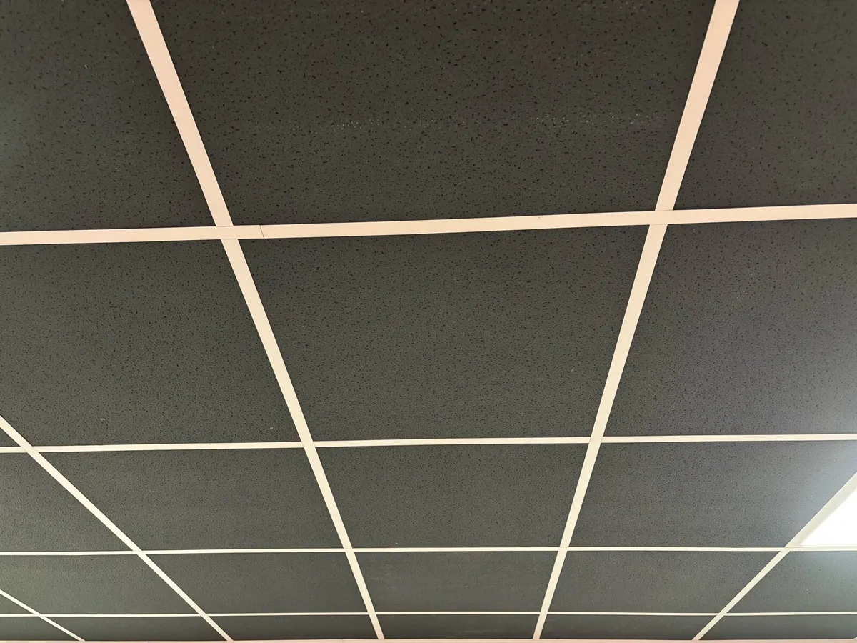 Black 600 x 600 ceiling tiles - Image 1