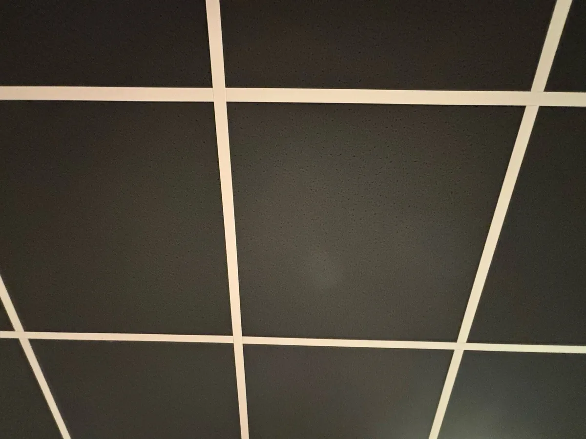 Black 600 x 600 ceiling tiles - Image 2