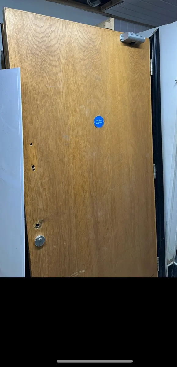 Solid fire doors - Image 1