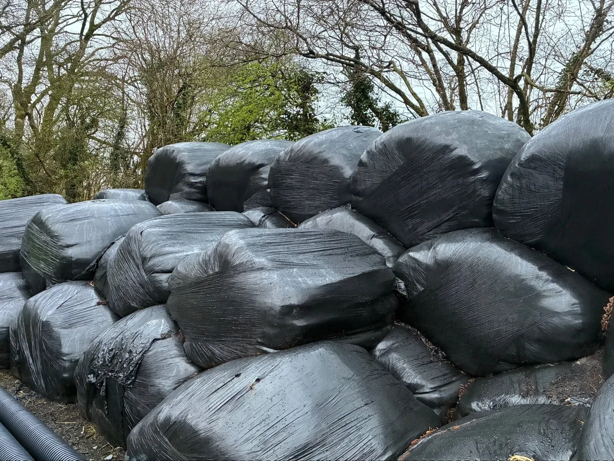 Silage Bales