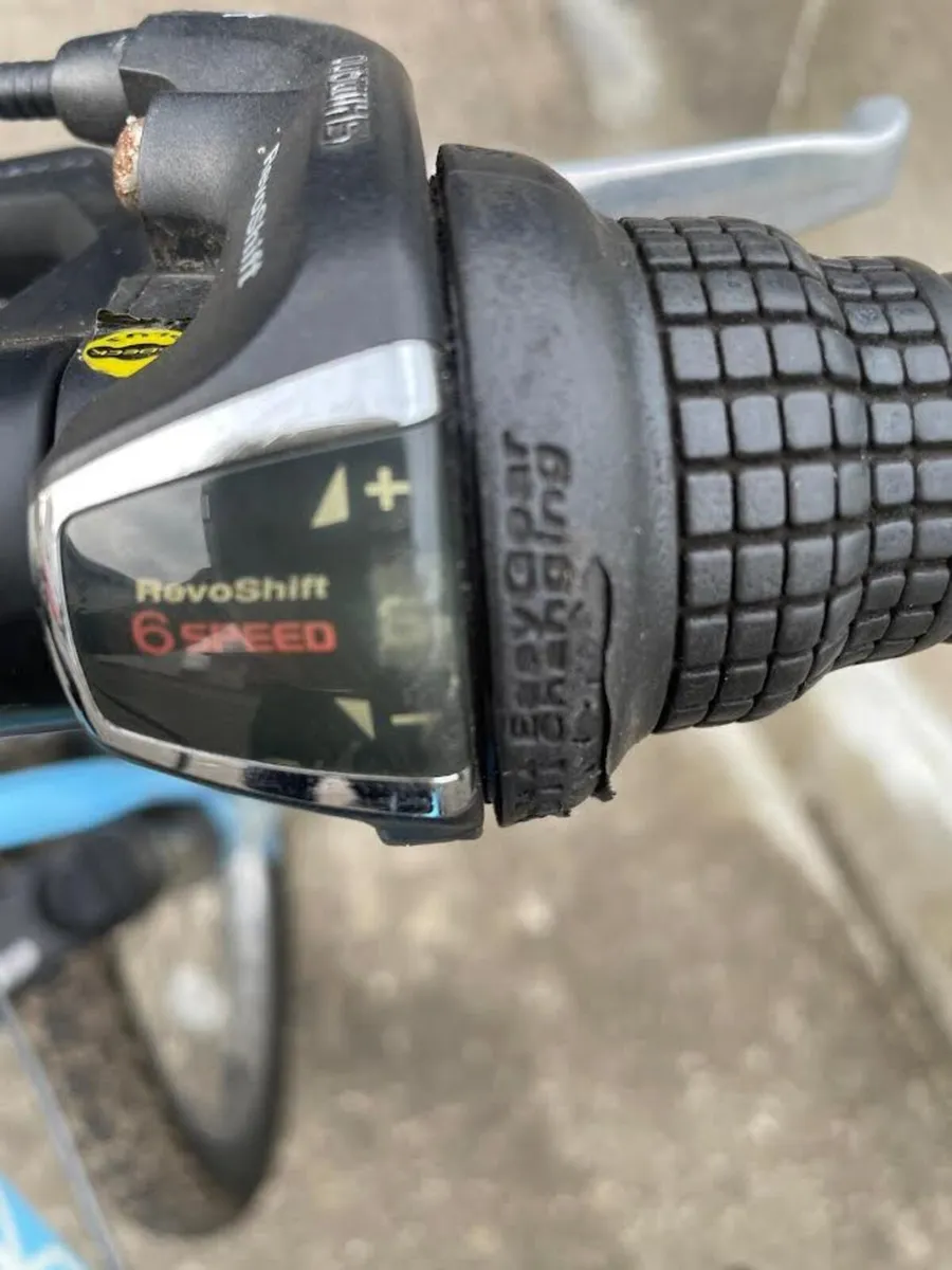 Kids Ridgeback bike - Image 2