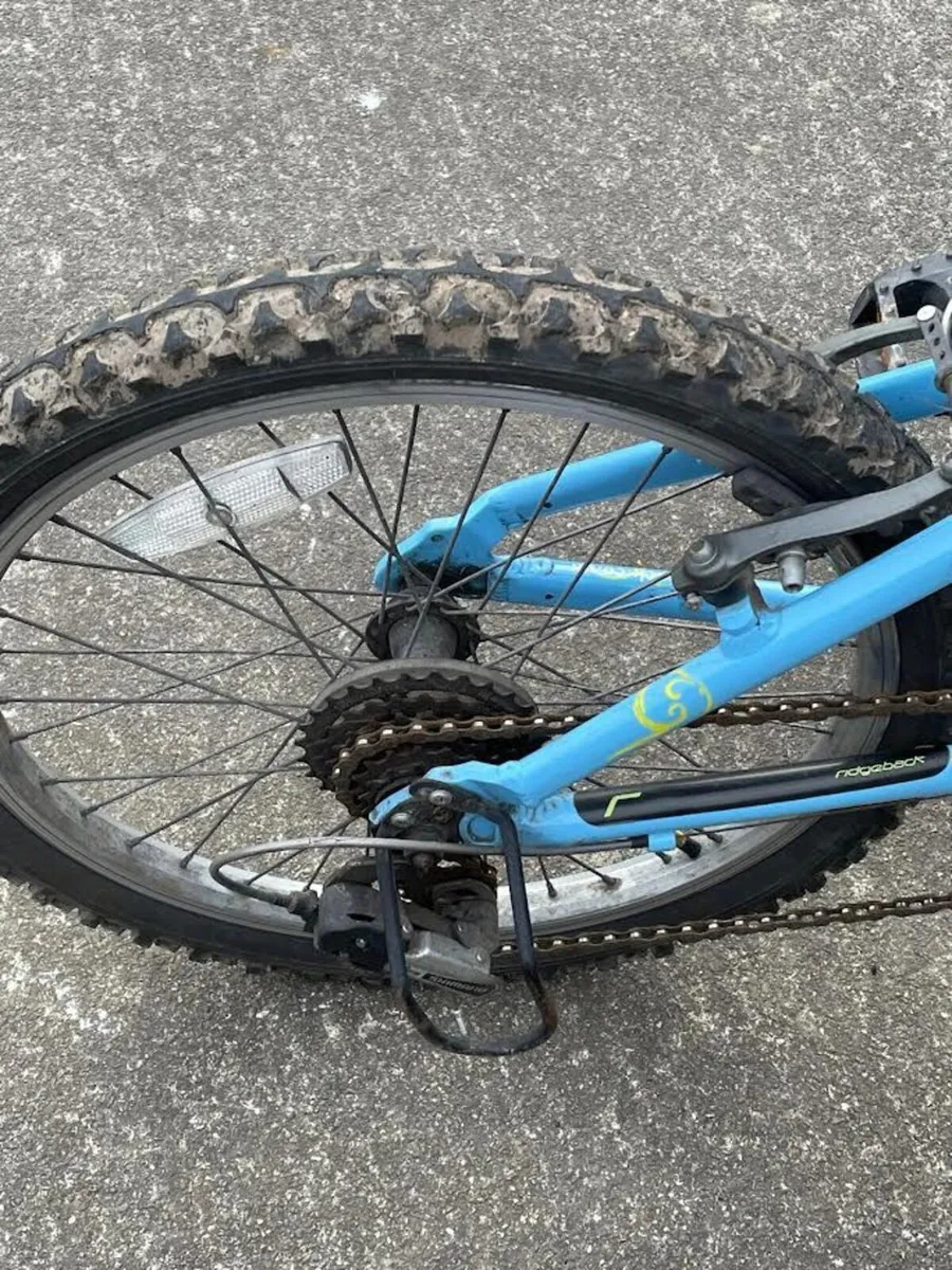 Kids Ridgeback bike - Image 3