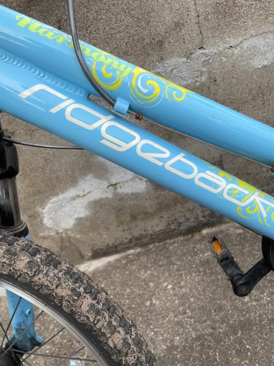 Kids Ridgeback bike - Image 4