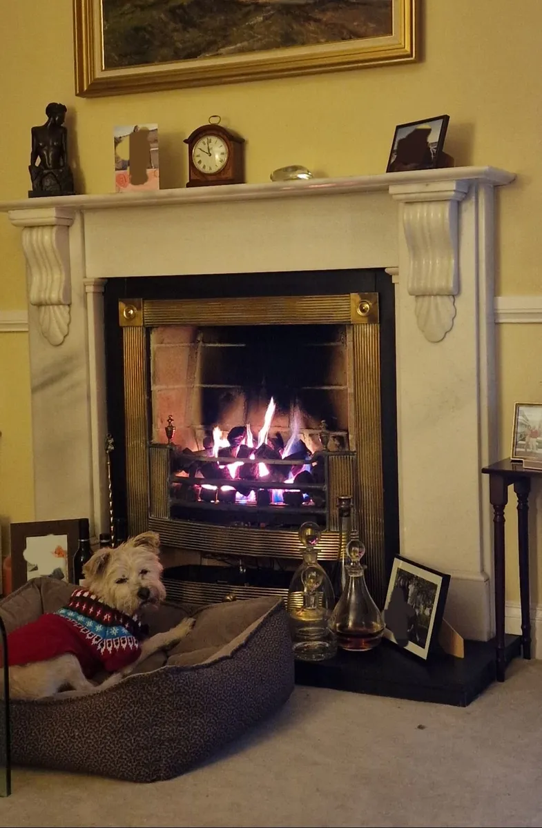 Mantlepiece- Marble - Image 1