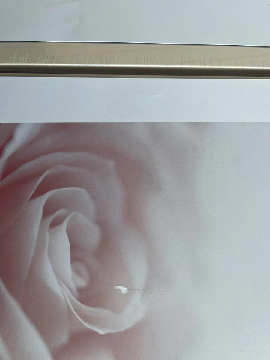 Prints & Frames - Image 2