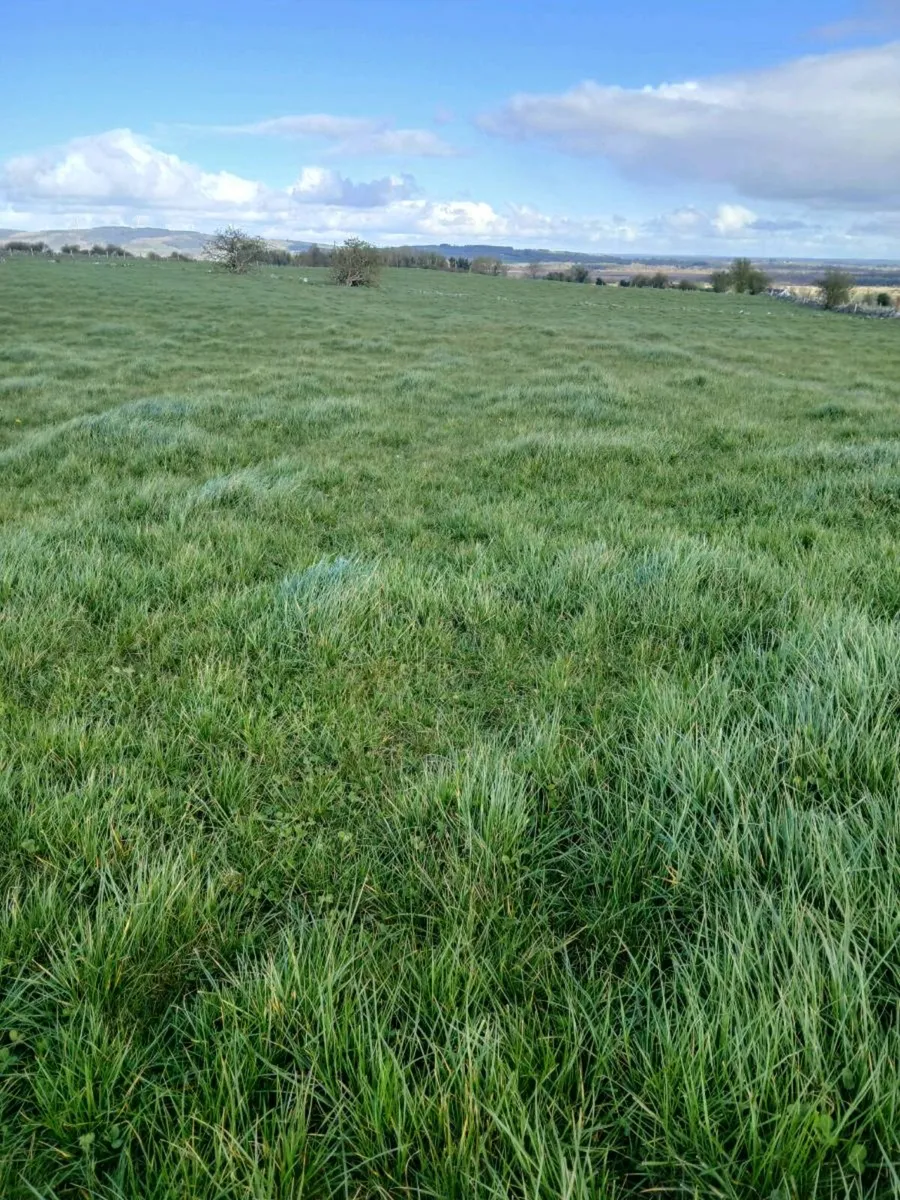 Contract rearing - Image 1