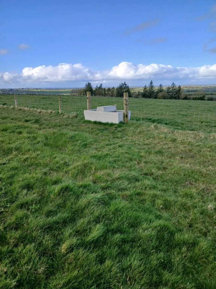 Contract rearing - Image 3