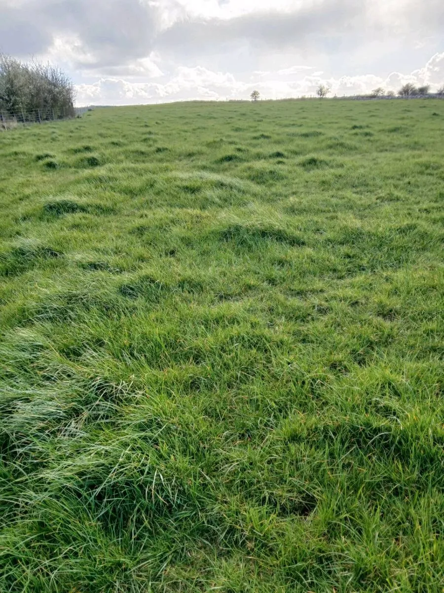 Contract rearing - Image 2