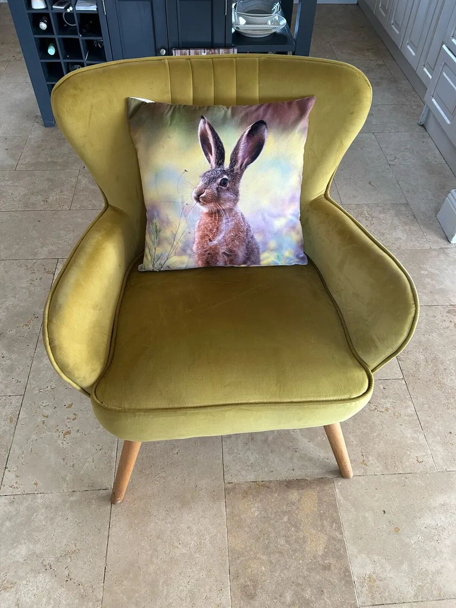 Occasional Chair - Image 1